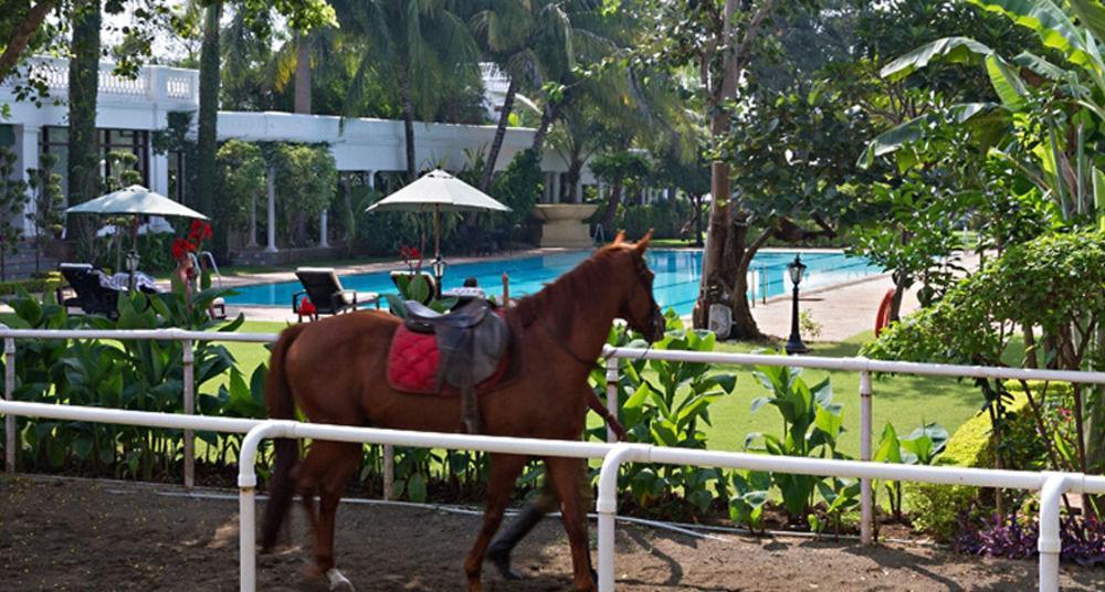 Jehan Numa Palace Hotel